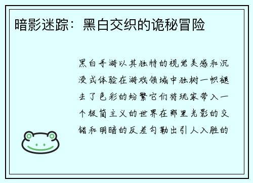 暗影迷踪：黑白交织的诡秘冒险